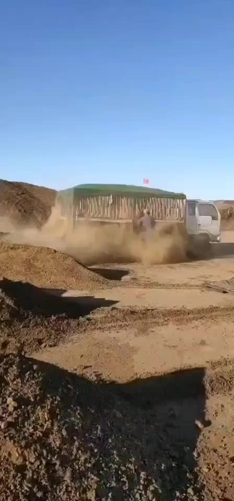 干羊粪发酵内蒙古苏尼特右旗