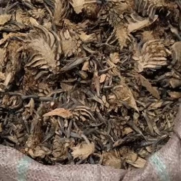 贯众中药材贯众精选贯节正品保证