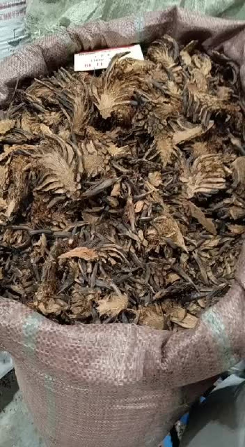 贯众中药材贯众精选贯节正品保证