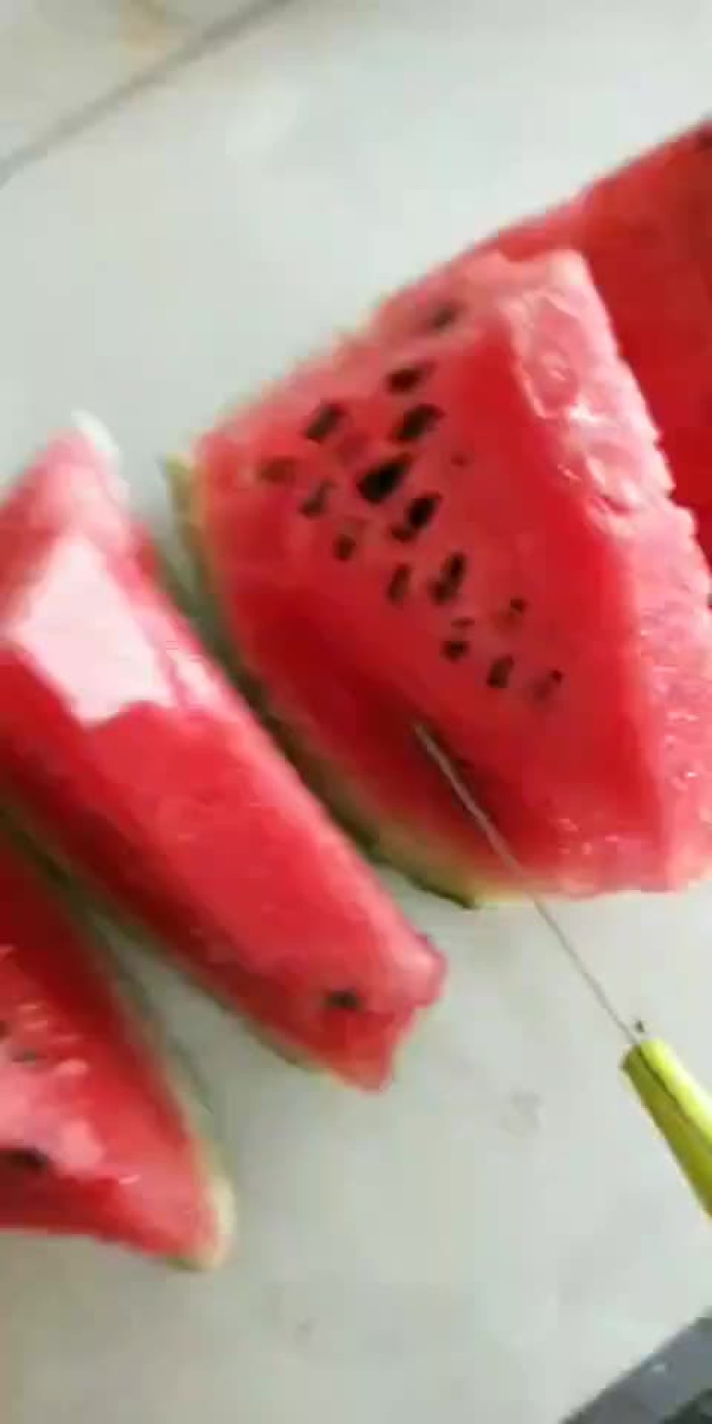 长花瓜春光62，冠龙新机遇