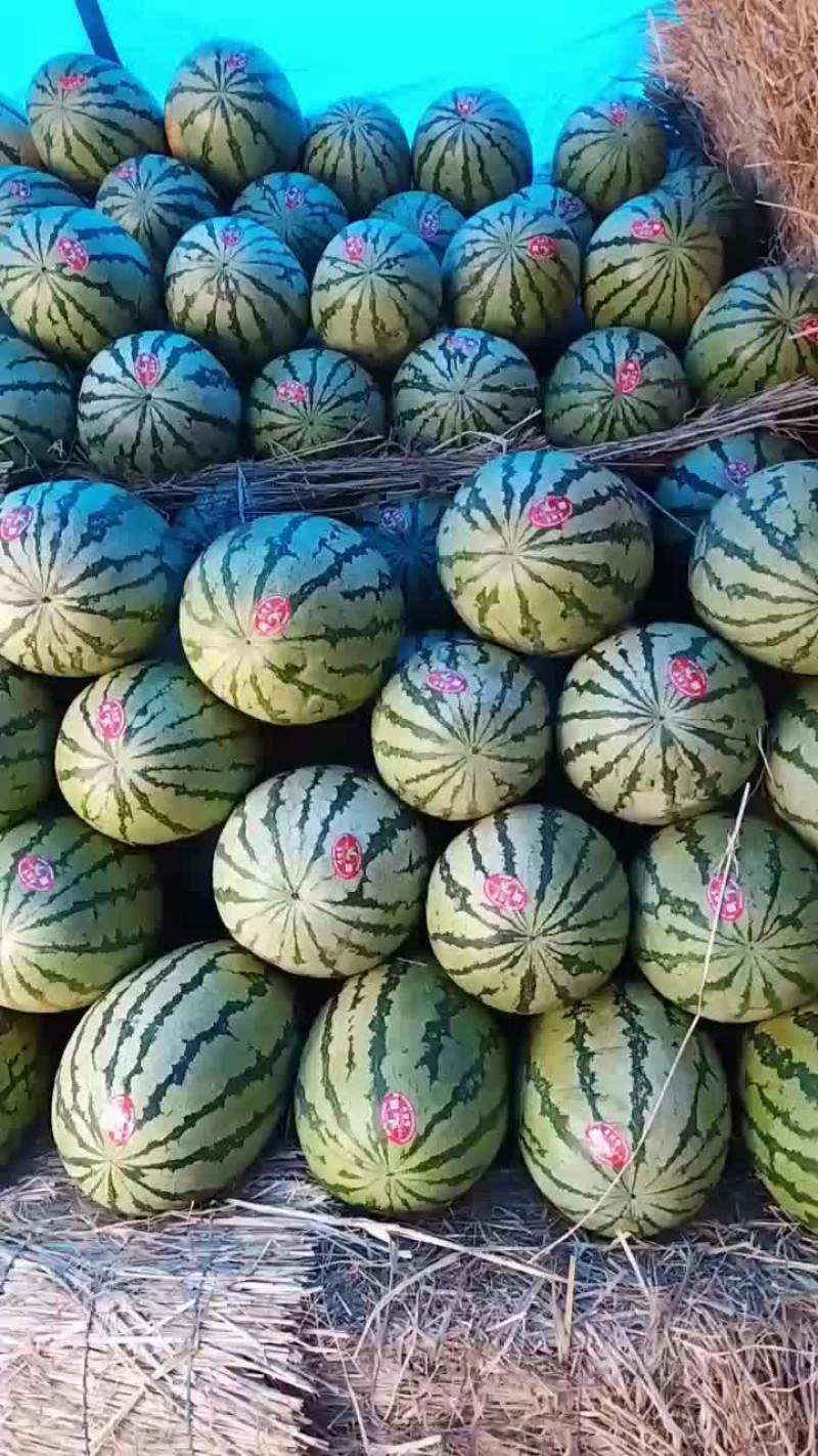 各种西瓜