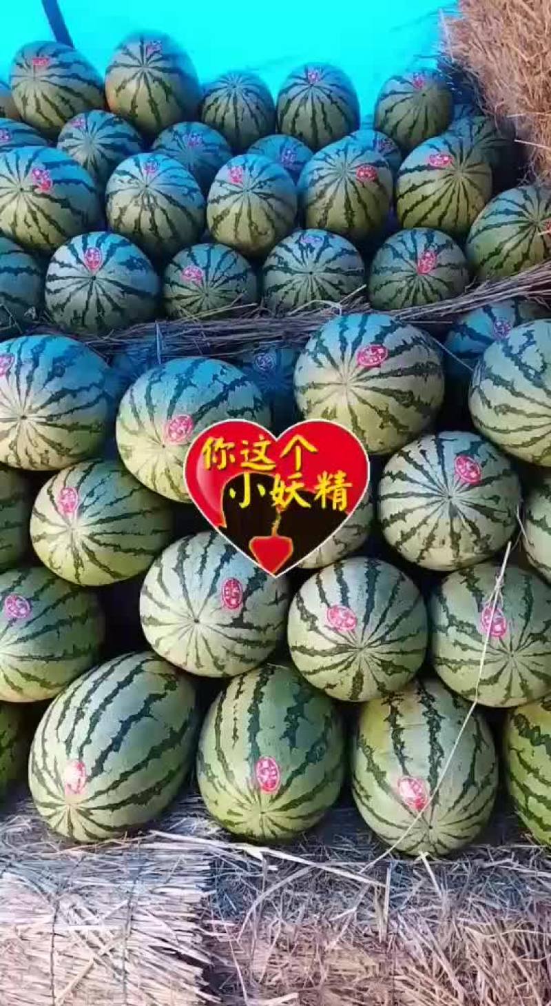 各种西瓜