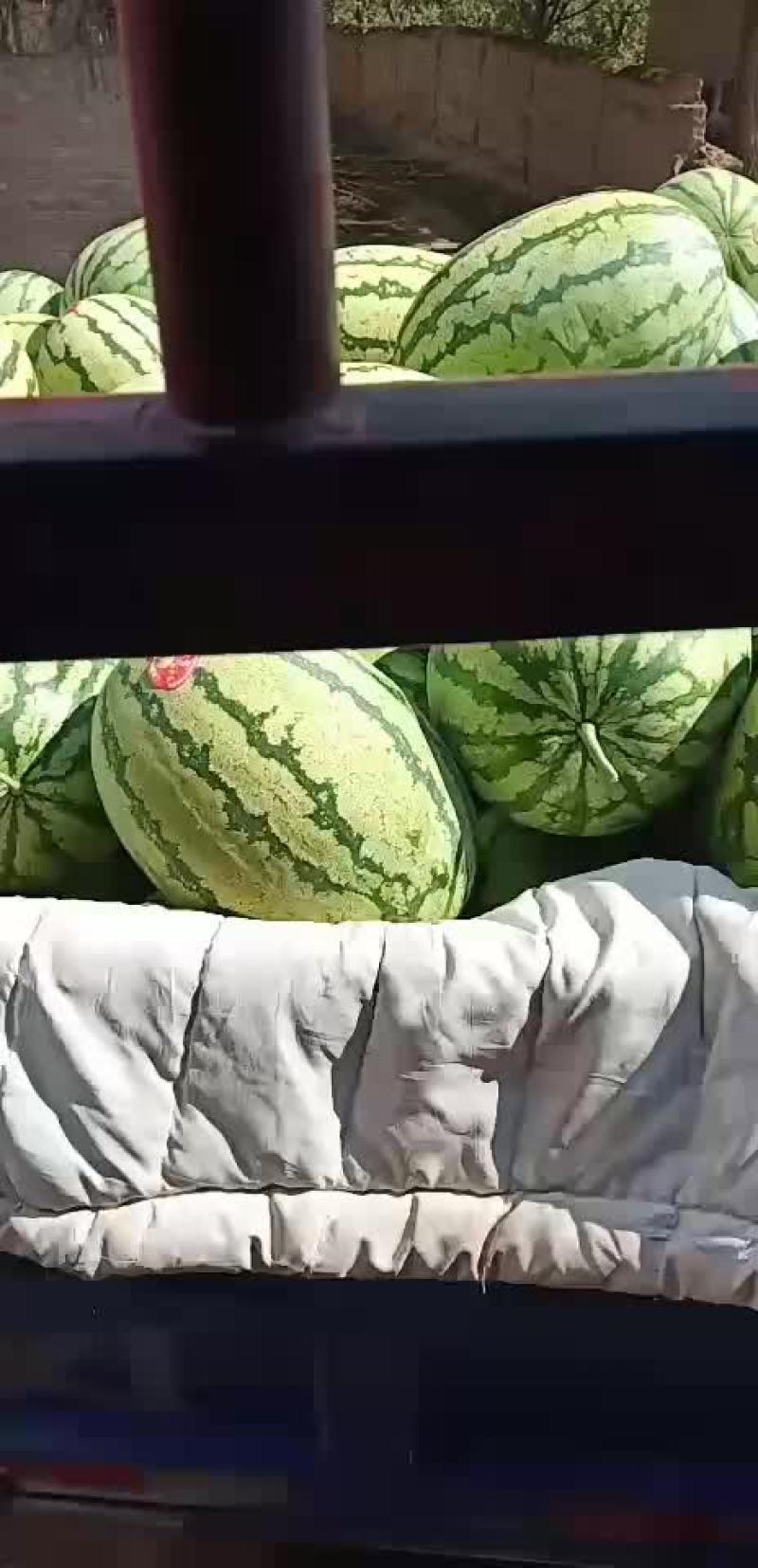 各种西瓜