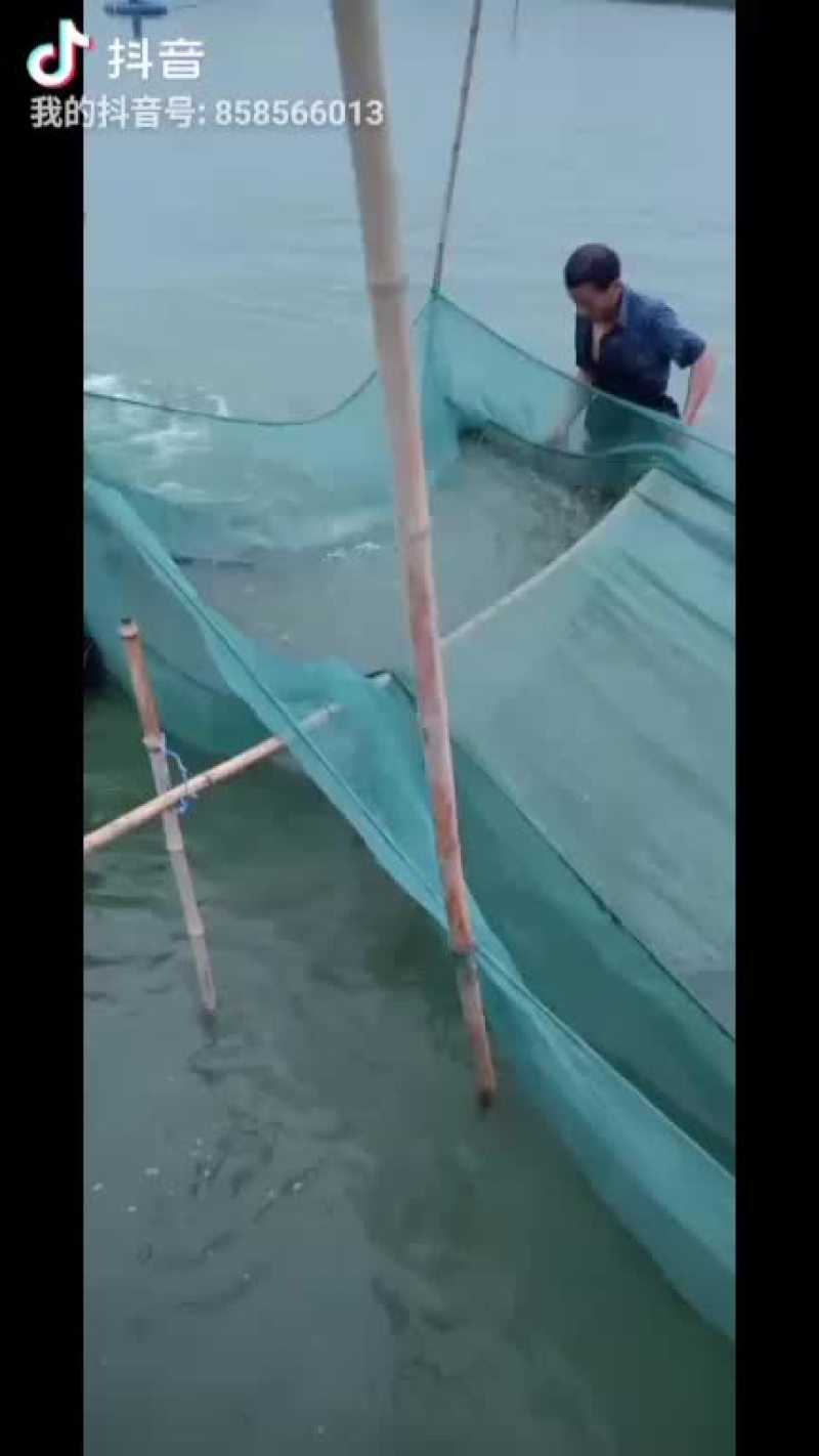 太湖二号