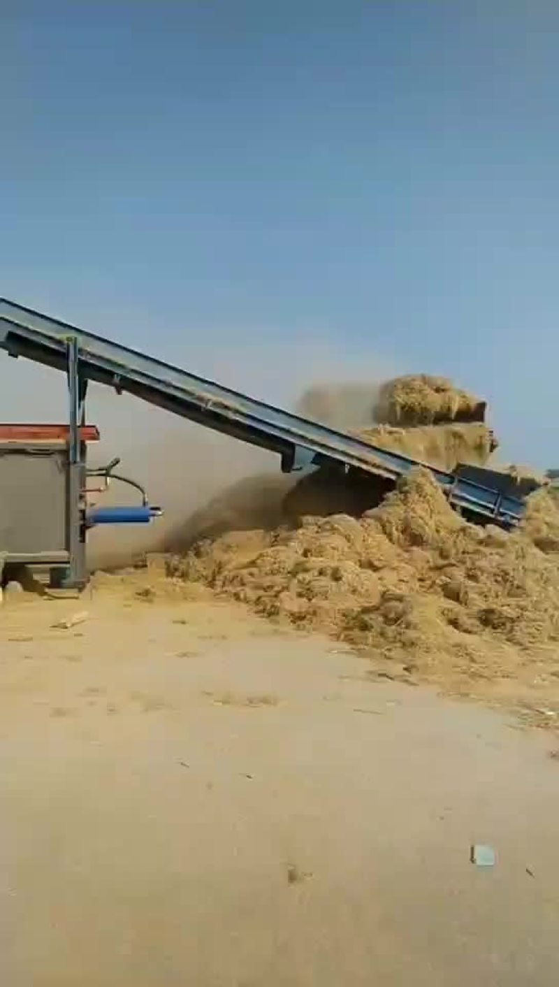 小麦秸秆河南优质小麦结杆方捆大圆捆大量现货随时装车
