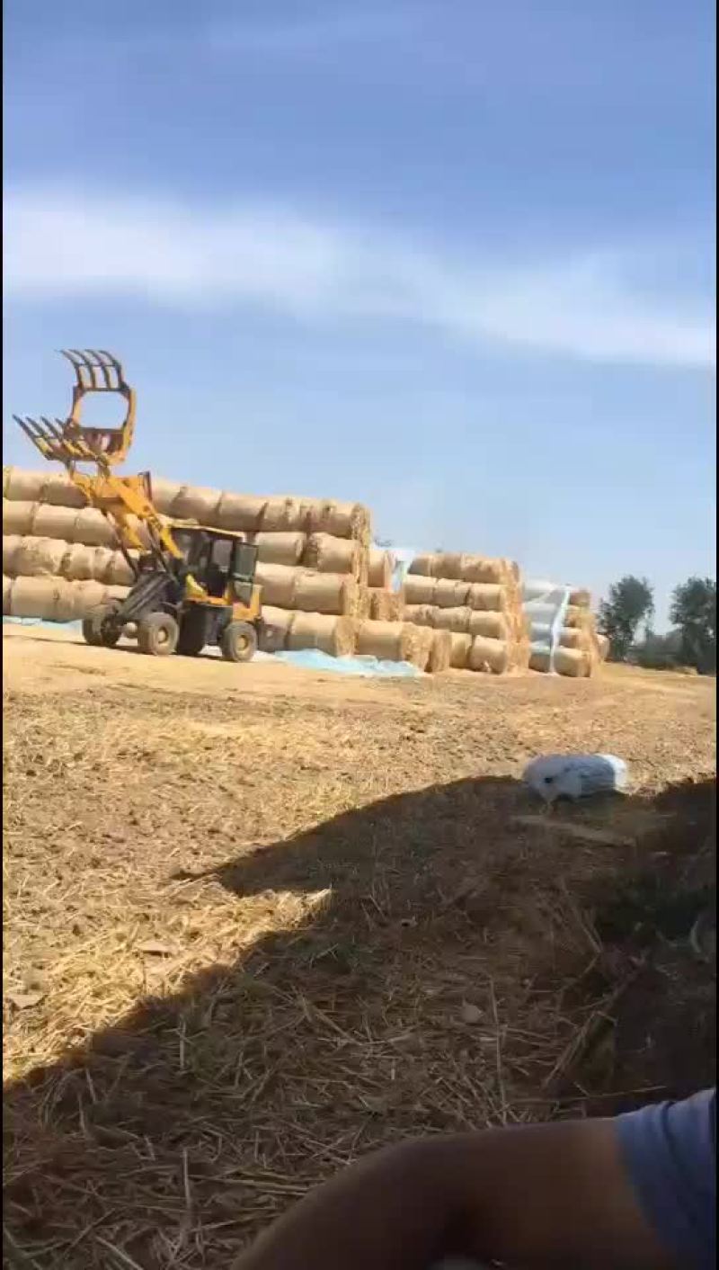 小麦秸秆河南优质小麦结杆方捆大圆捆大量现货随时装车
