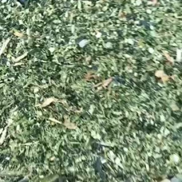 青储玉米秸秆青储！常年有货，诚信经营！