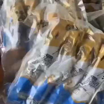 即食海参