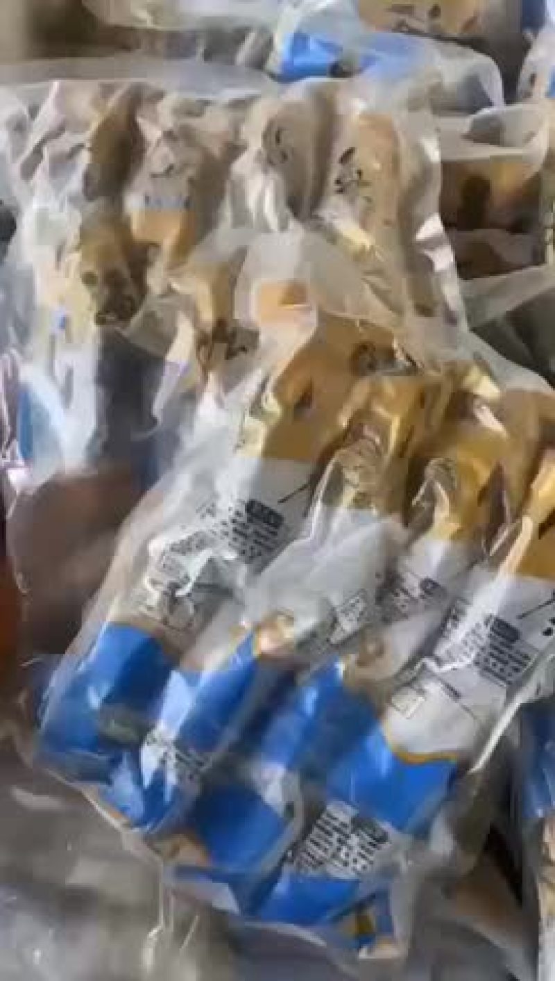 即食海参