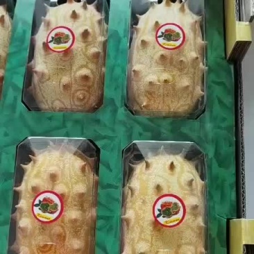 精品火参果批发个个精品大个百利特色农业直销