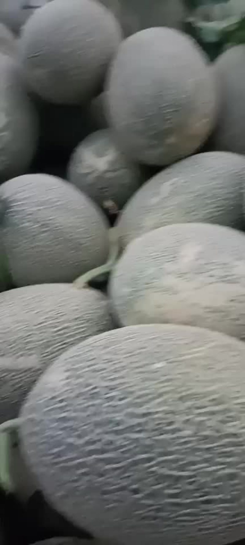 大量现货