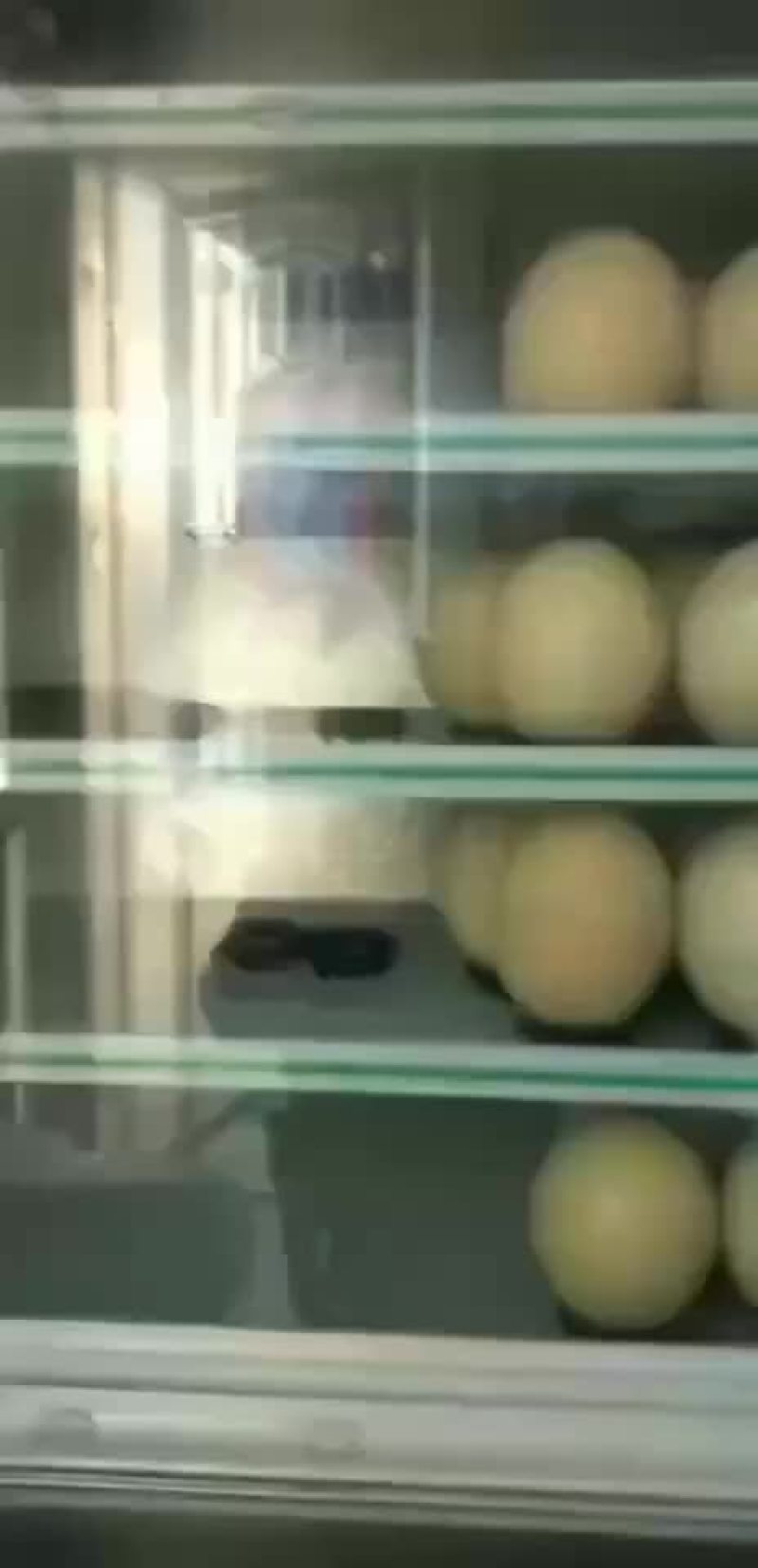 新鲜鸵鸟蛋价格优惠，厂家直销，诚信经营！