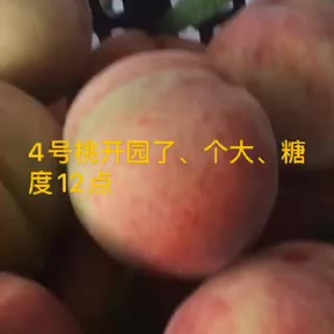 桃