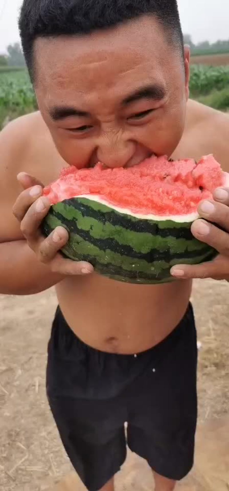 甜王