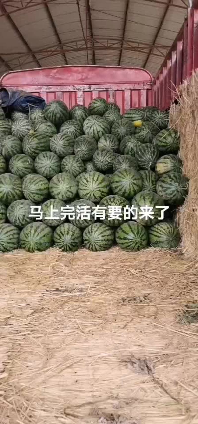 甜王
