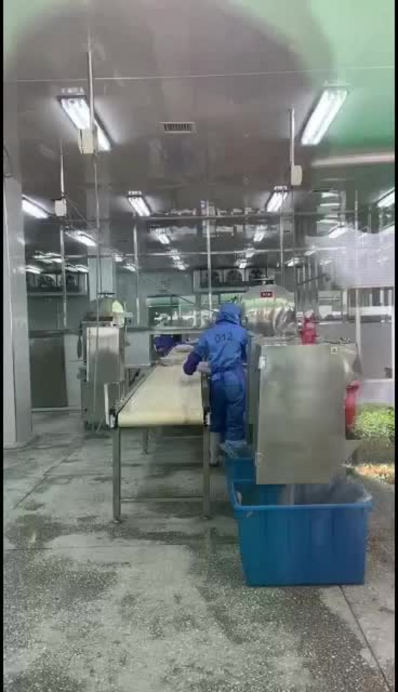 大目金枪鱼