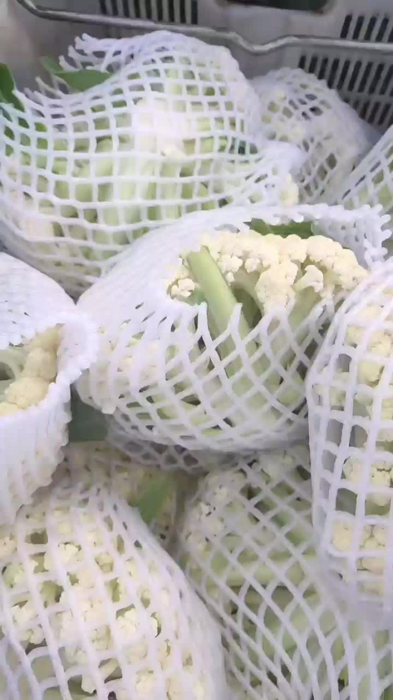 徐州有机花菜青梗散花菜花80天加工厂货，大白菜