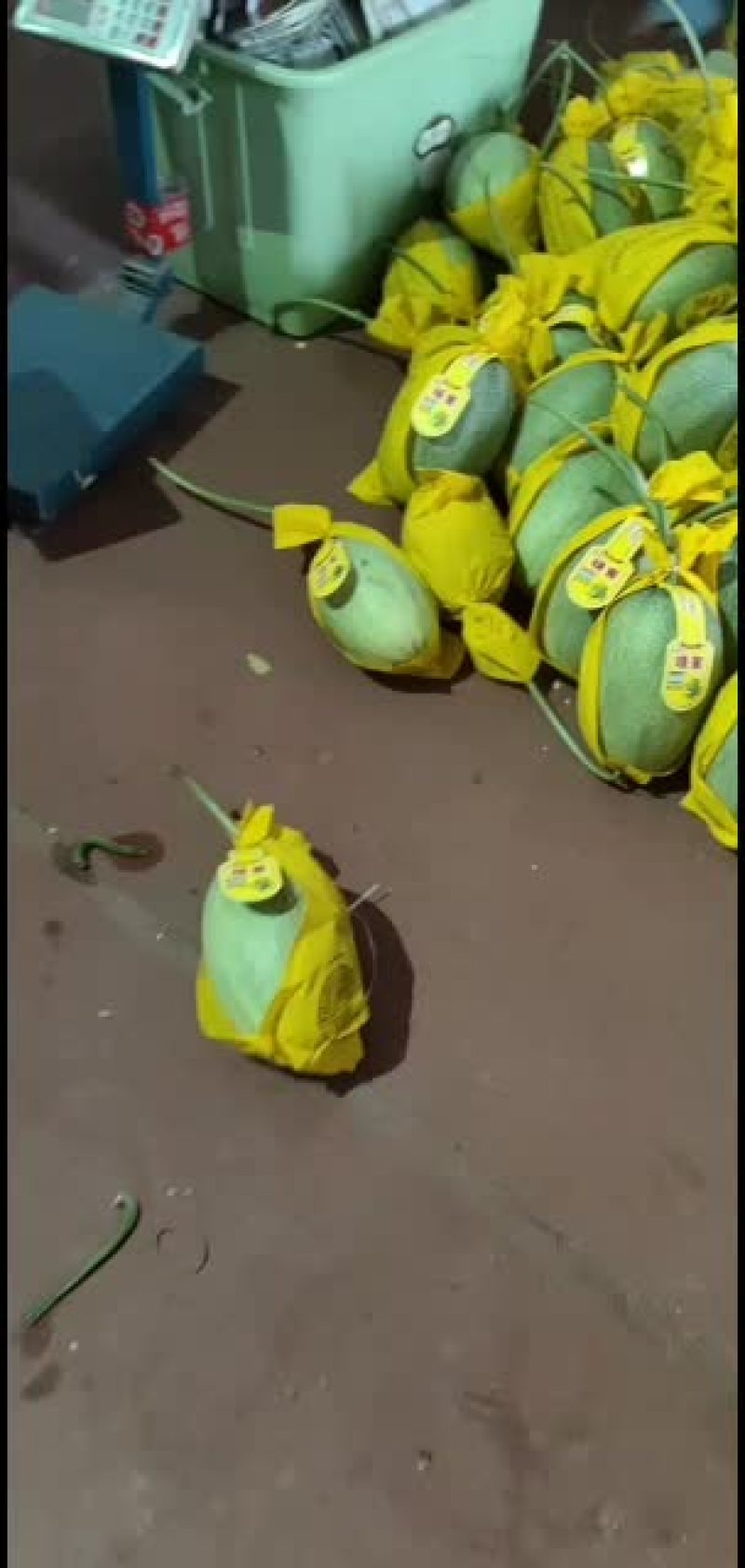 哈密瓜，西州蜜，小蜜25号