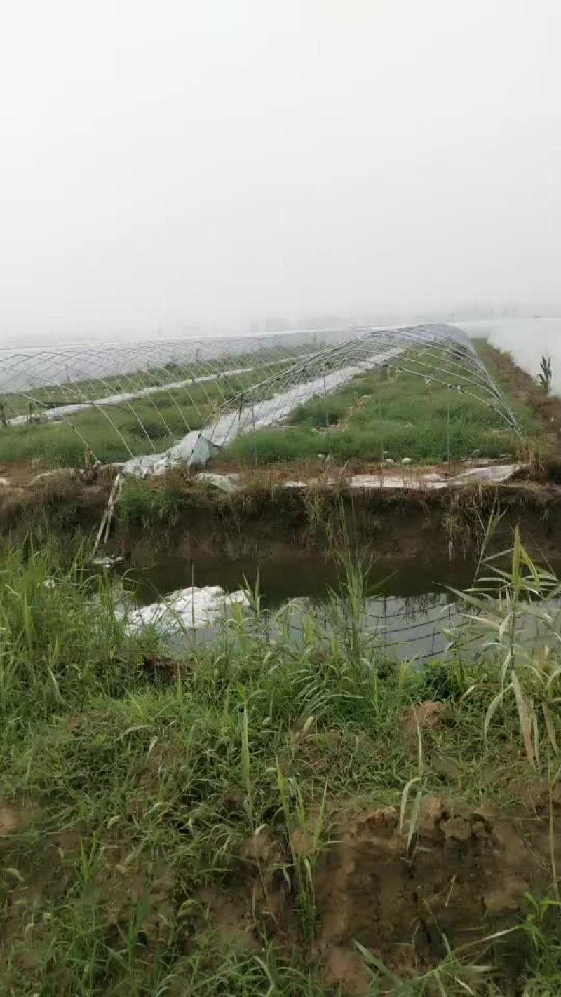 25#4.5大棚管