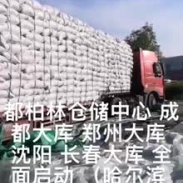 苦荞壳