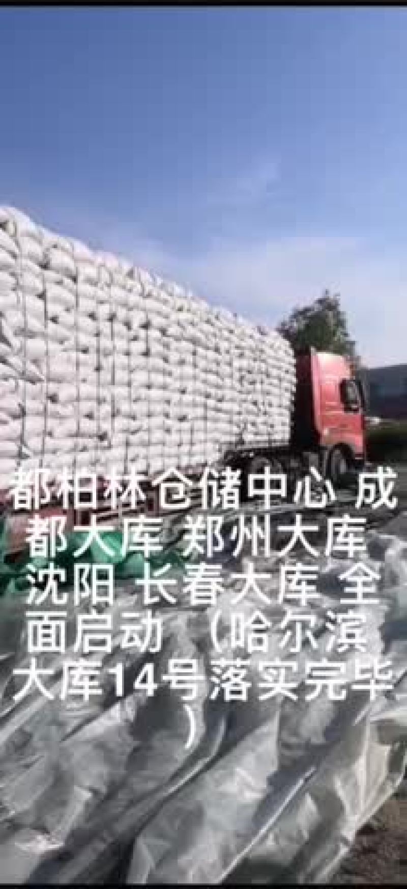 苦荞壳