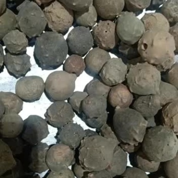 没食子中药材无硫没石子没食子无食子墨石子无石子