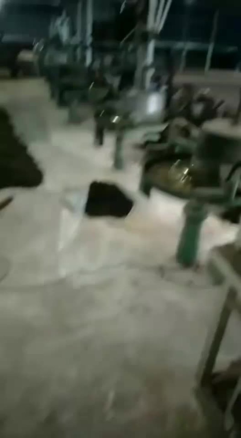 感谢老总们下单新鲜茶叶