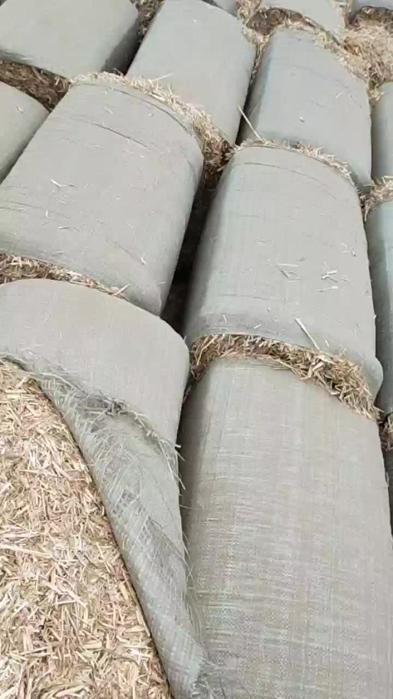 小麦秸秆河南优质小麦结杆方捆大圆捆大量现货随时装车