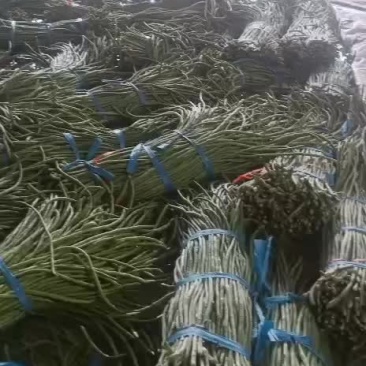 长豆角精品，次的也有