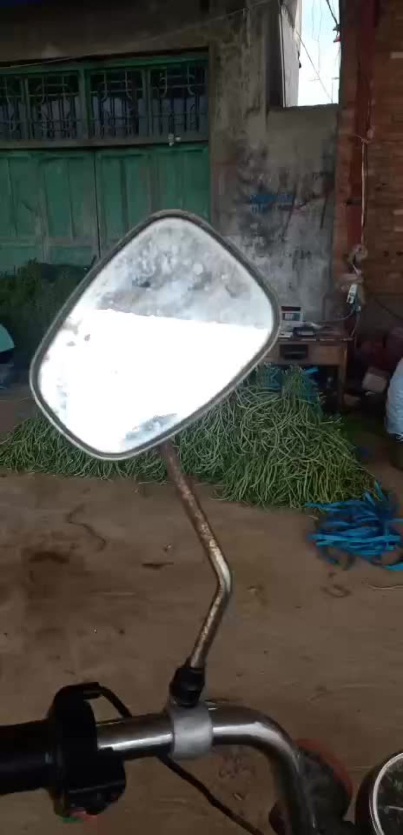 长豆角精品，次的也有