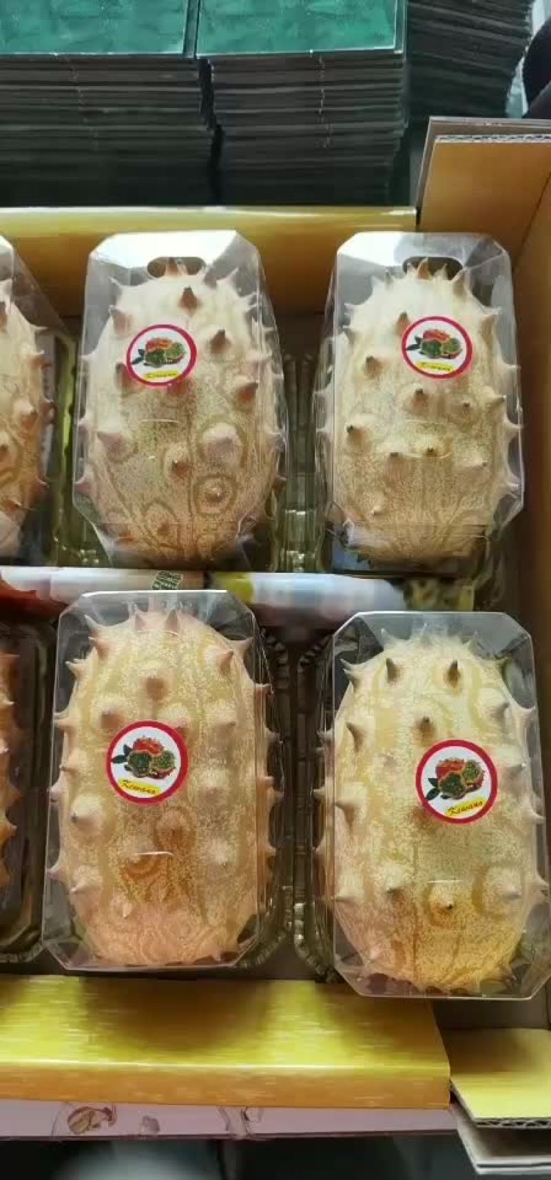 精品火参果批发个个精品大个百利特色农业直销