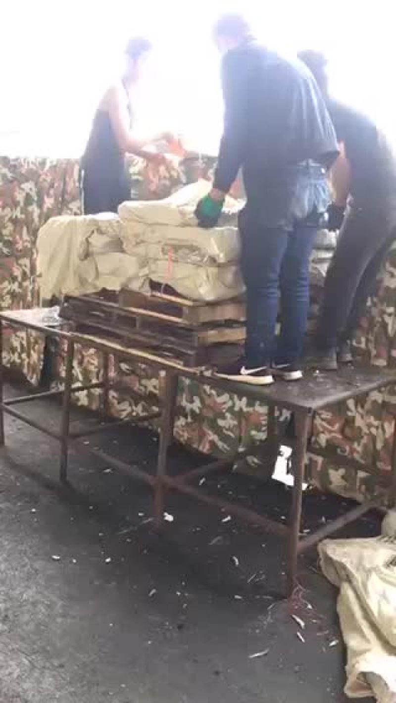 船冻，路冻，各种规格品种饲料鱼大量有货，