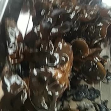 东北黑木耳产地直销，长年大量供应