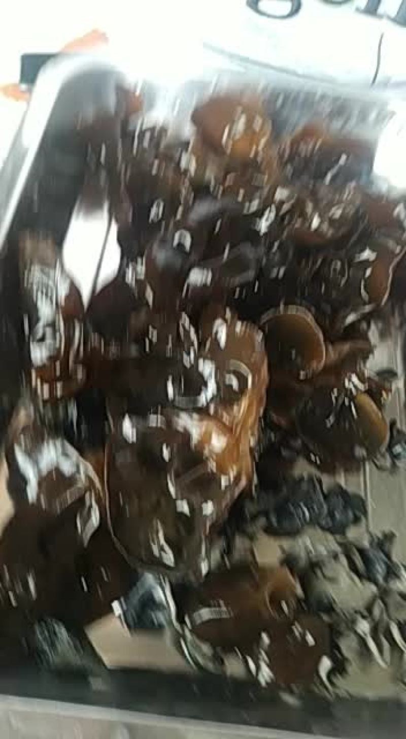 东北黑木耳产地直销，长年大量供应