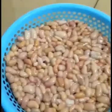 长期供应新鲜鸡子！！