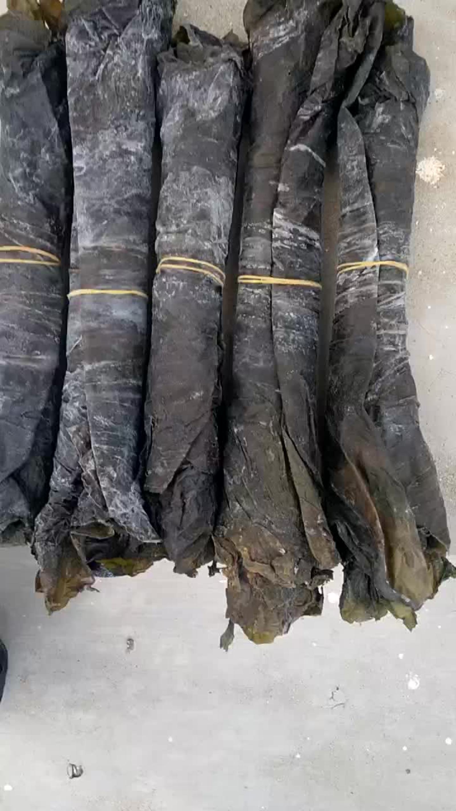 [干海带批发]山东威海荣成市海带 65.00元/斤水洗烘干海带条 _ 一亩田