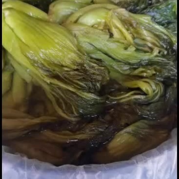 【腌芥菜】酸菜咸菜批发，桶装，袋装