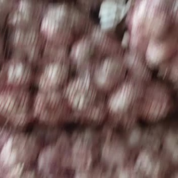 济南大青稞，好的货源一天比一天少