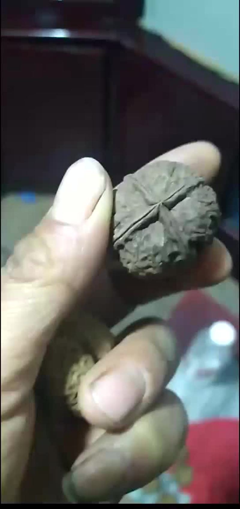 本人长期批发，零售文玩核桃质量保证欢迎电话咨询