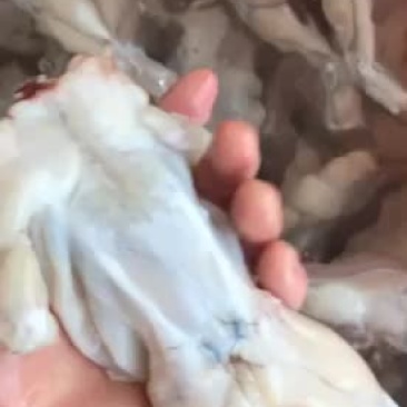 你们看就知道了，这是单冻货解冻出来的货，质量有保证放心用