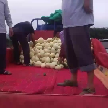 欢迎天下客户来。收东方密。一起发财。