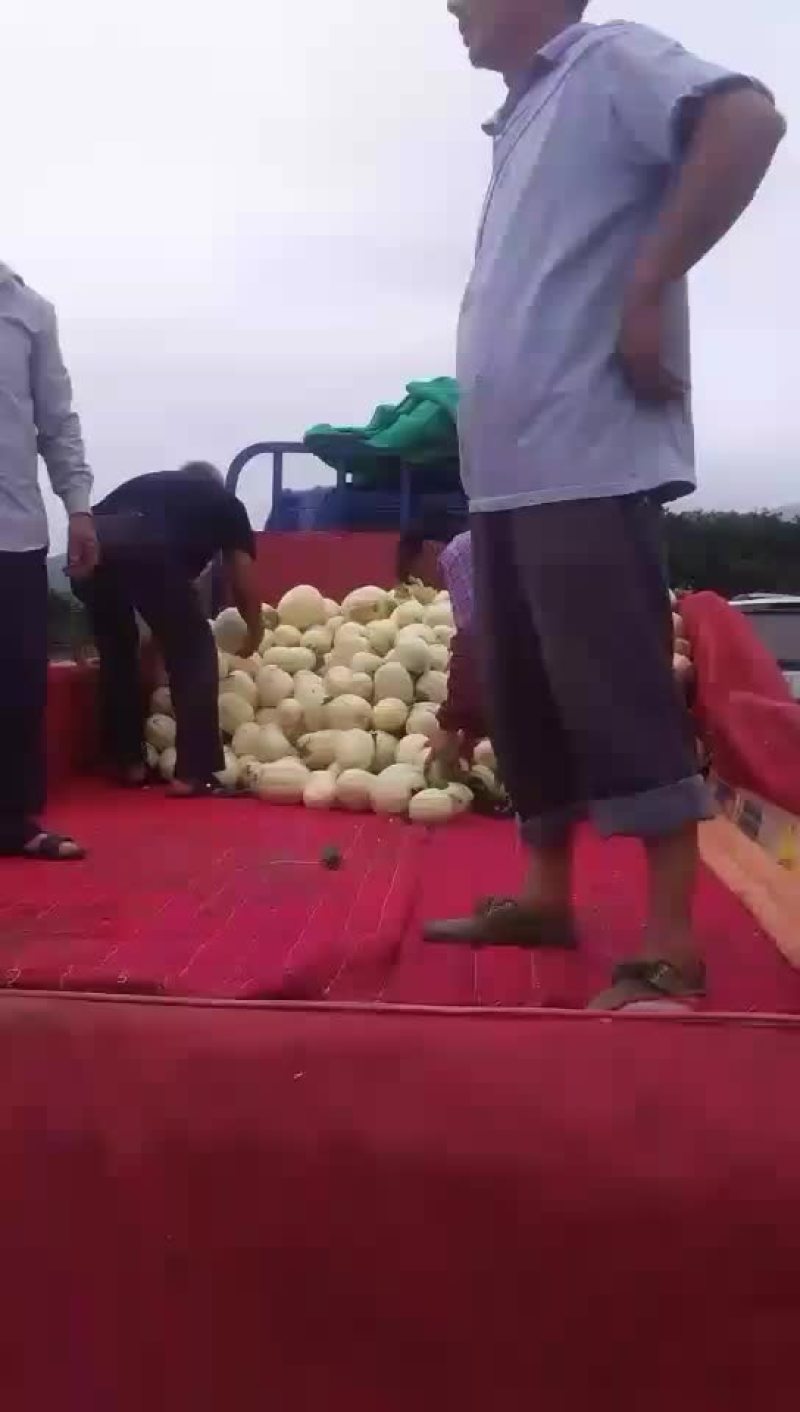 欢迎天下客户来。收东方密。一起发财。