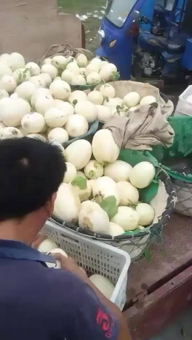 欢迎天下客户来。收东方密。一起发财。