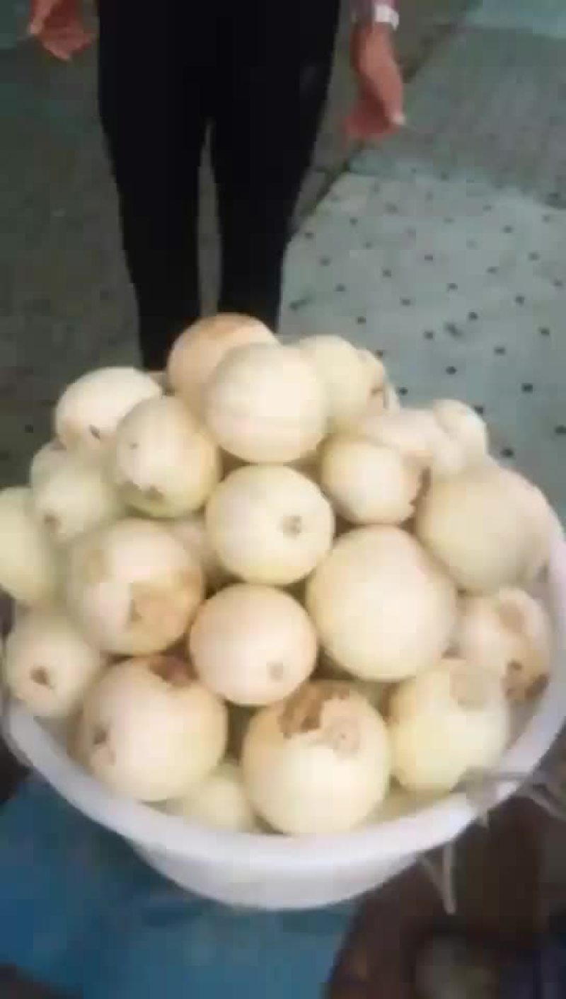 欢迎天下客户来。收东方密。一起发财。