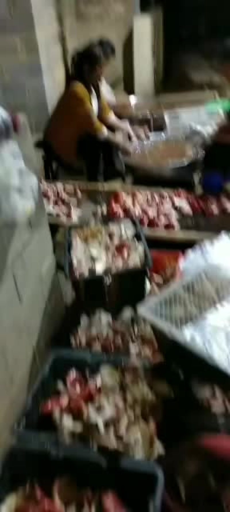 野生菌，，，，，，，，，