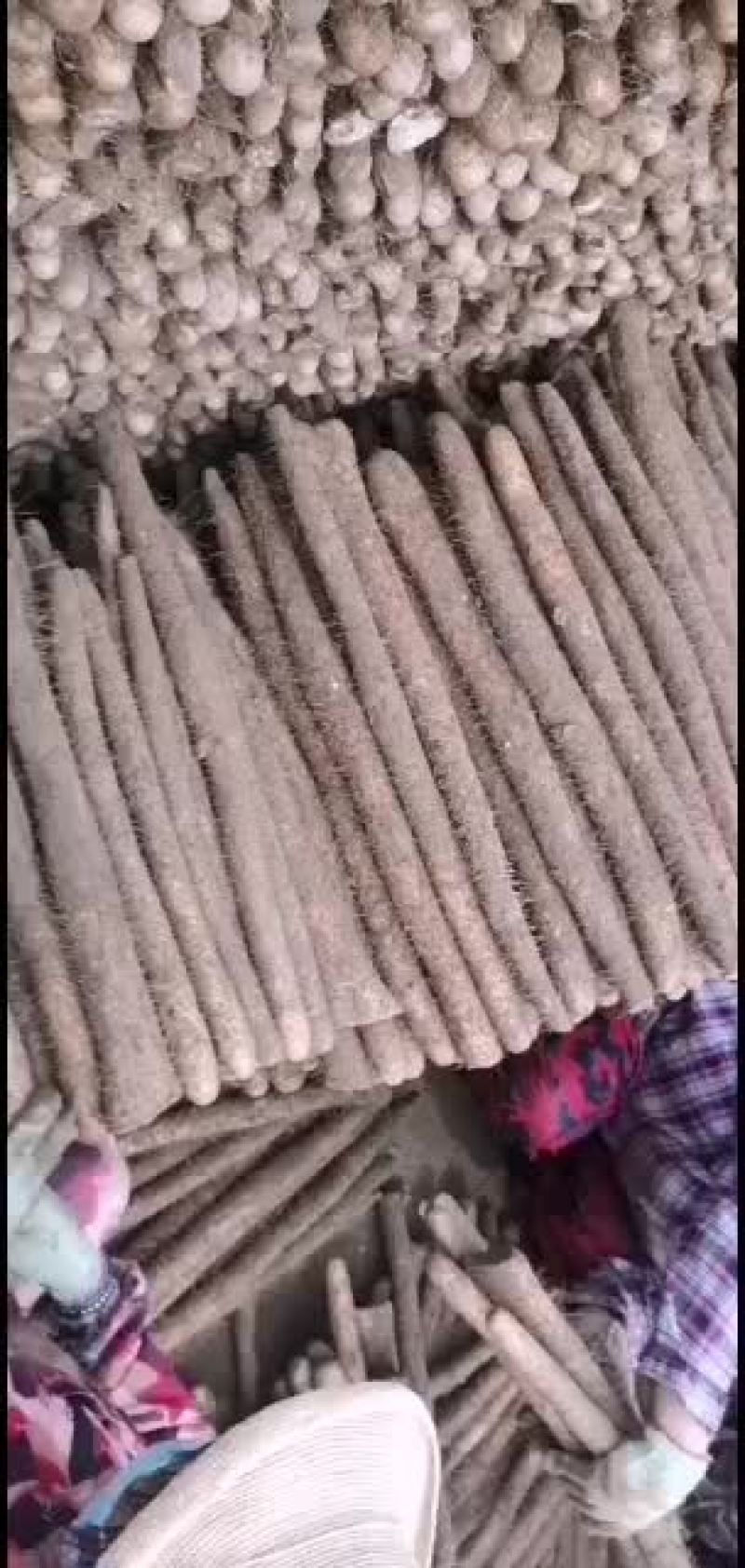 山药，麻山药，库存山药，山药，棒药，子药
