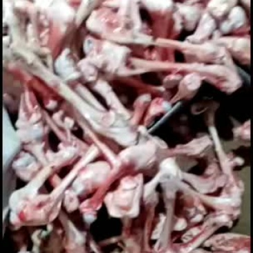 羊棒骨，熬汤羊骨头，质量很好很新鲜生鲜产品，售出不退不换