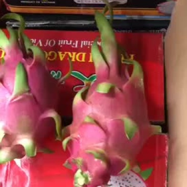 来吧，越南红心，白心都有货。