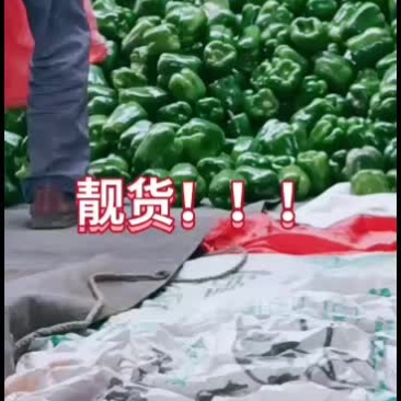 大量鲜货上市，货源充足