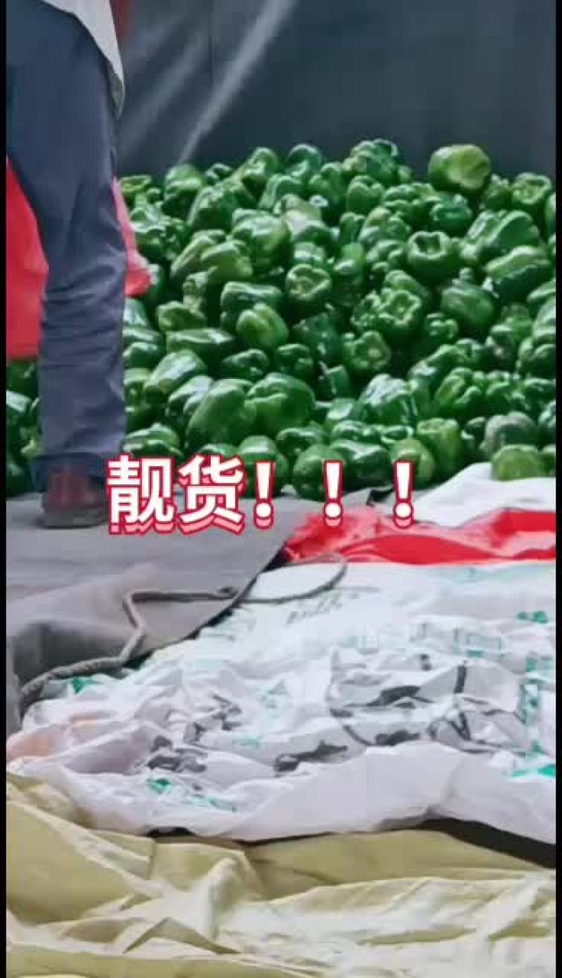 大量鲜货上市，货源充足